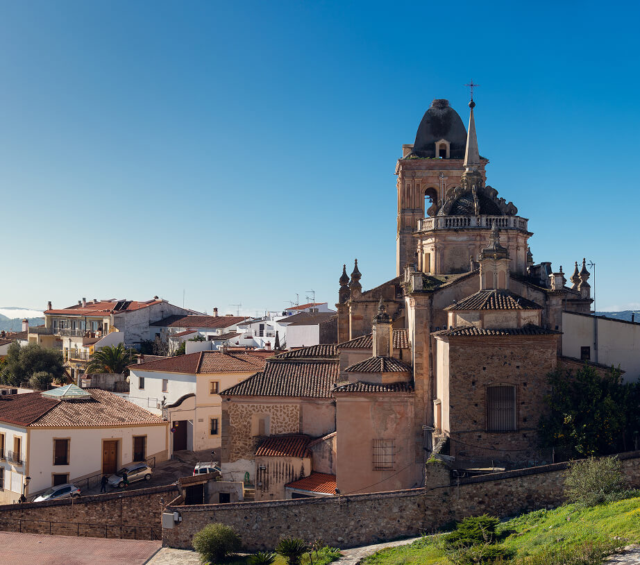 Empresa de desinfección en Jerez y Control de Plagas