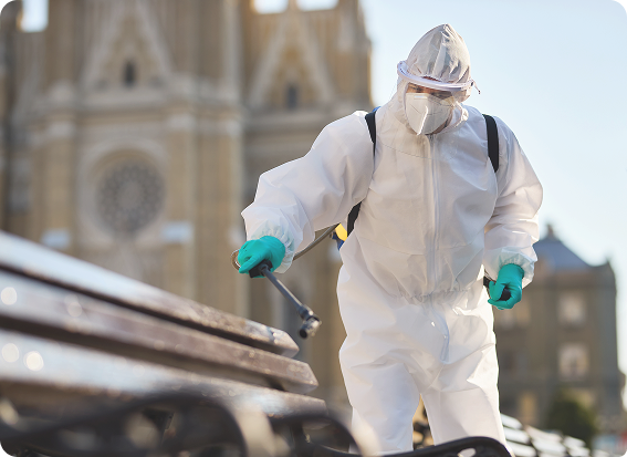 fumigación en plagas jerez