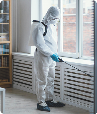 desinfección y control de plagas en Plagas Jerez