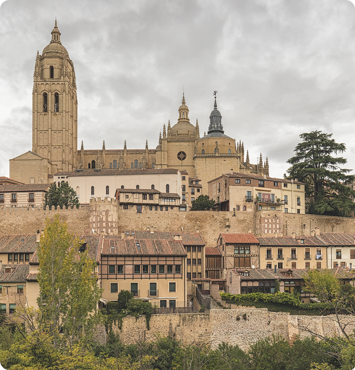 Servicios de Fumigación y Control de Plagas