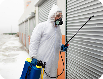 antiplagas, fumigación y eliminación de cucarachas