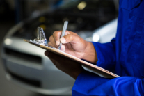 Empresa para Eliminar Avispas en Jerez