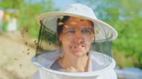 seguimiento y control de abejas