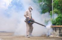 fumigar ratas en Jerez